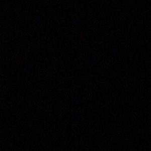 Meet your Posher, Daisy